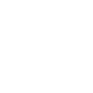 logo-touchdownprods-videaste-dijon